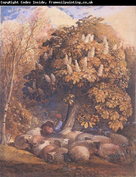 Samuel Palmer Pastoral with a Horse Chestnut Tree
